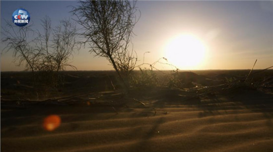 央視原創(chuàng)時(shí)政微視頻丨美麗中國說