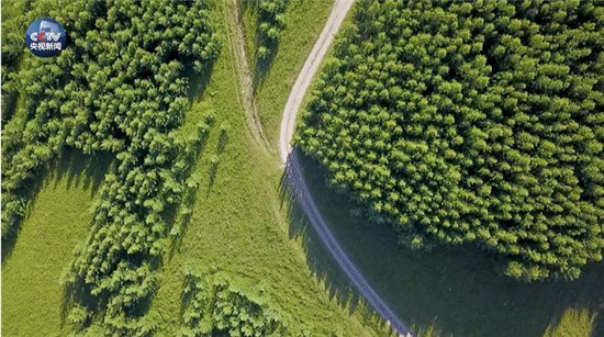 央視原創(chuàng)時(shí)政微視頻丨美麗中國說