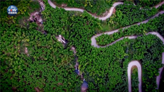 央視原創(chuàng)時(shí)政微視頻丨美麗中國說