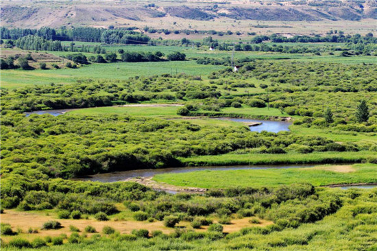 習(xí)近平用這些“色彩”描繪新時代 習(xí)近平用這些“色彩”描繪新時代