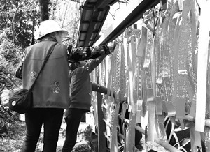 黑龍?zhí)豆珗@舉行第三屆龍王會(huì) 1.5萬(wàn)市民入園