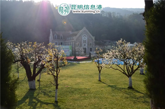 昆明高新區(qū)2018年第四屆秋木箐梨花節(jié)隆重啟幕