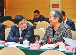 參加全國兩會的云南代表們圍繞政府工作報告熱烈討論，深入交流。本報記者 雷桐蘇 攝