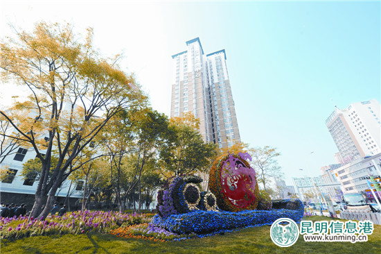 穿金路段鮮花小品。本組圖片記者楊艷輝攝