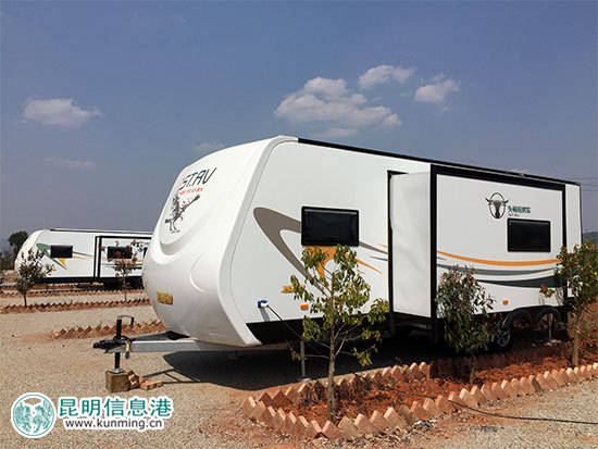 昆明林下經(jīng)濟(jì)產(chǎn)值達(dá)35億元 臥云山上種有世界最大最香茶花