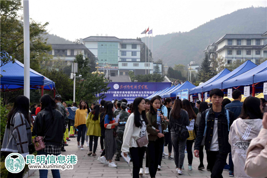 云南省2018年高職高專醫(yī)藥類畢業(yè)生雙向選擇洽談會舉行