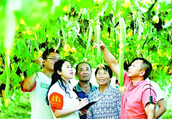 江西省德興市張村鄉(xiāng)紀(jì)委成立了8個鄉(xiāng)村流動監(jiān)督隊，對各村幫扶干部、作風(fēng)建設(shè)等情況進(jìn)行監(jiān)督。圖為流動監(jiān)督隊在張村鄉(xiāng)界田村蔬菜大棚基地了解產(chǎn)業(yè)幫扶情況。卓忠偉攝/光明圖片