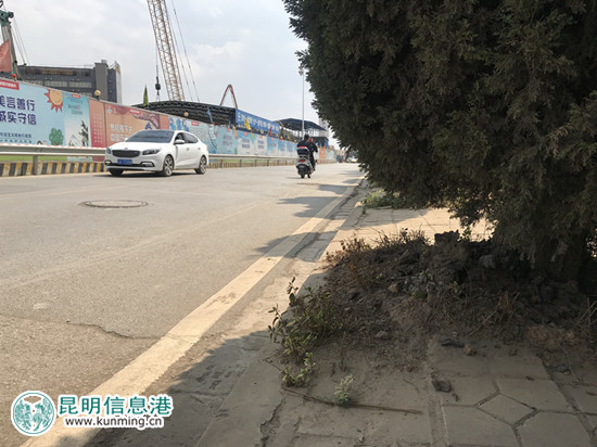 綠化帶內(nèi)堆積的石塊雜物。