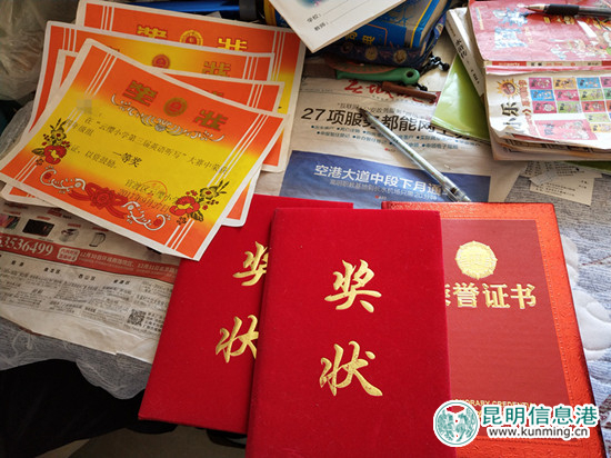 王福康獲得的獎(jiǎng)狀和榮譽(yù)證書