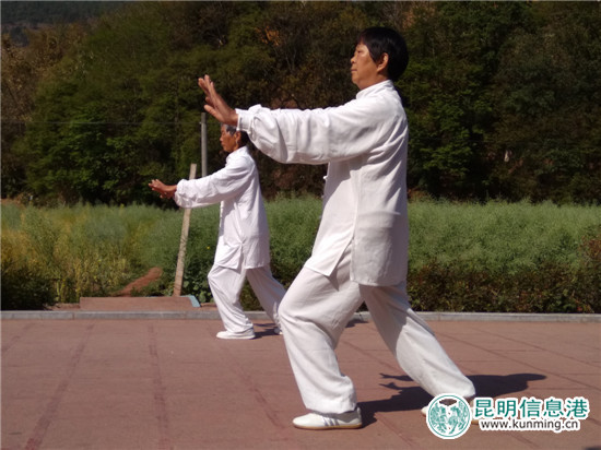 老年表演者的一招一式都很見功力。記者江楓 攝