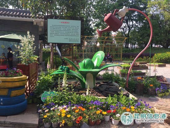 西華公園“一米菜園”受市民熱捧 家庭種菜有望深入推廣