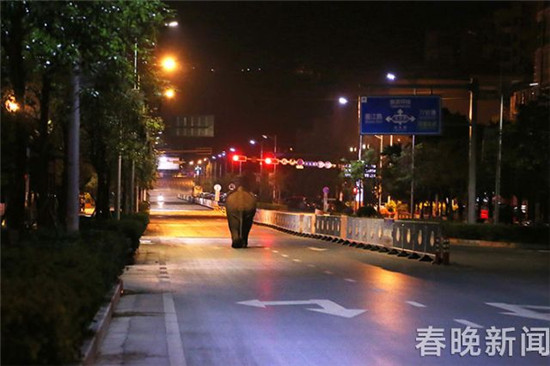 野象深夜在普洱街道上逆行還闖紅燈