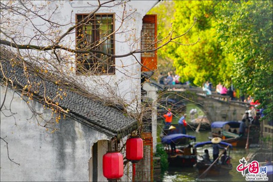 煙花三月晴空下的周莊 迷醉在江南春色里