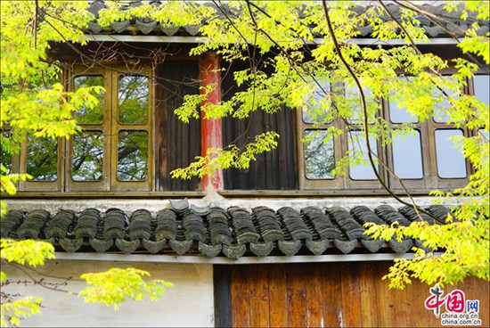 煙花三月晴空下的周莊 迷醉在江南春色里