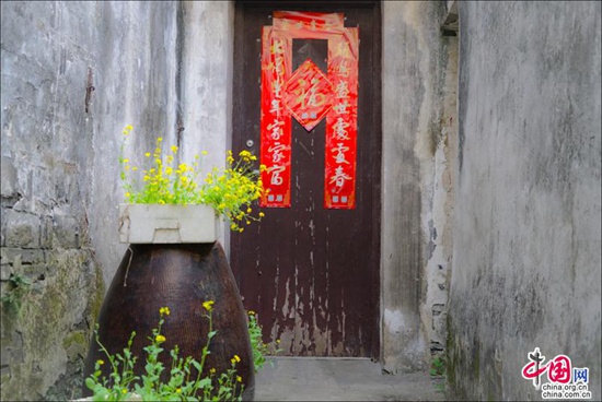 煙花三月晴空下的周莊 迷醉在江南春色里