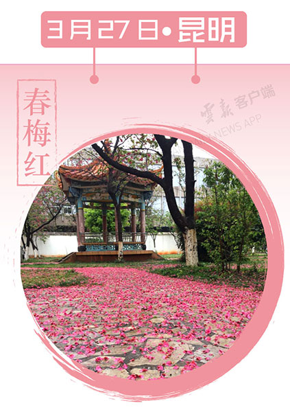 當(dāng)云南春色遇到中國(guó)傳統(tǒng)顏色 到底哪一“色”最撩你心？