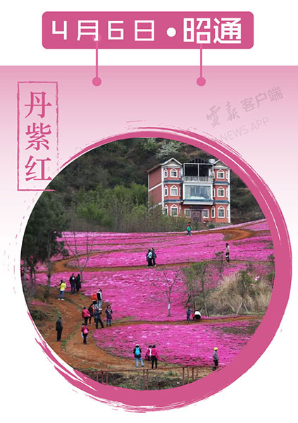 當(dāng)云南春色遇到中國(guó)傳統(tǒng)顏色 到底哪一“色”最撩你心？