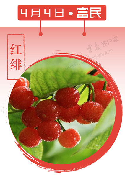 當(dāng)云南春色遇到中國(guó)傳統(tǒng)顏色 到底哪一“色”最撩你心？