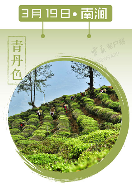 當(dāng)云南春色遇到中國(guó)傳統(tǒng)顏色 到底哪一“色”最撩你心？