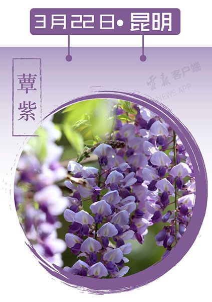 當(dāng)云南春色遇到中國(guó)傳統(tǒng)顏色 到底哪一“色”最撩你心？