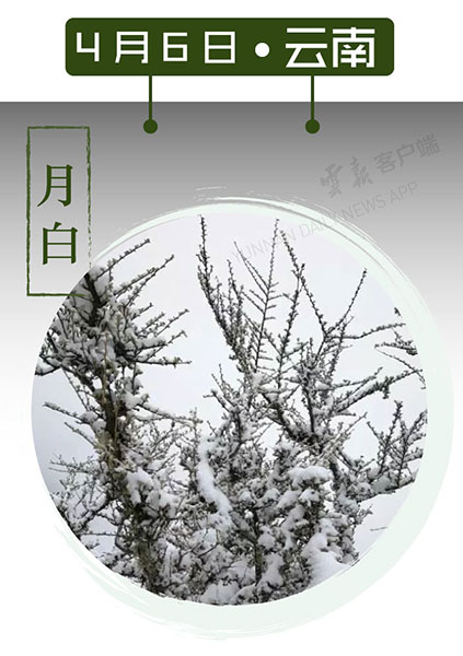 當(dāng)云南春色遇到中國(guó)傳統(tǒng)顏色 到底哪一“色”最撩你心？