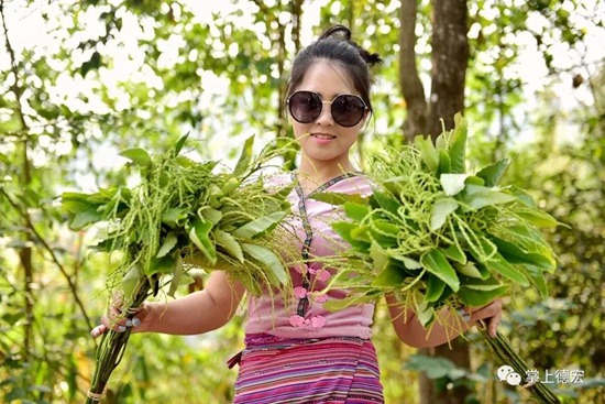 老板 我要請假去德宏過潑水節(jié)