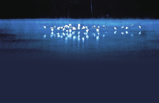 百名攝影師穿行懸崖絕壁 拍攝德宏珍禽異獸 百名攝影師穿行懸崖絕壁 拍攝德宏珍禽異獸