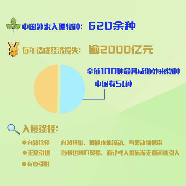 國家安全教育日：行李箱關(guān)乎國家安全，你了解多少？