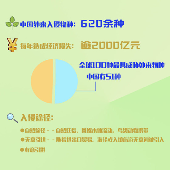 中國外來物種入侵現(xiàn)狀 中國外來物種入侵現(xiàn)狀