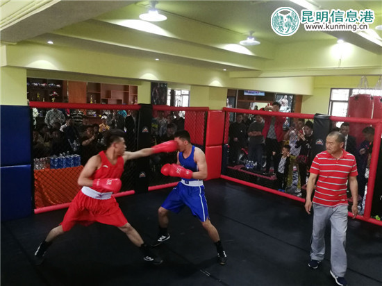 拳擊比賽 拳擊比賽