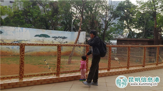 長頸鹿“海榮”之死追蹤：應(yīng)激反應(yīng)導(dǎo)致窒息死亡 有望制成長頸鹿標本