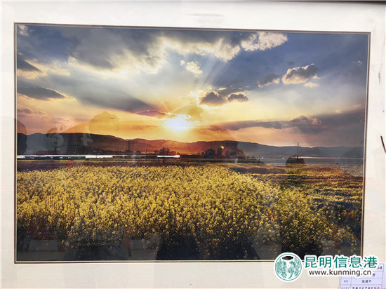 楚雄離退休老同志第九屆攝影作品展出 百幅作品共繪彝鄉(xiāng)新發(fā)展