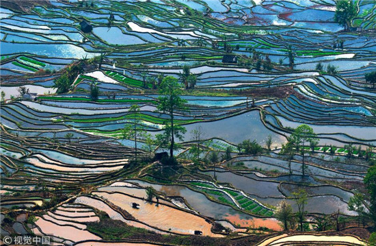 云南紅河哈尼梯田 云南紅河哈尼梯田