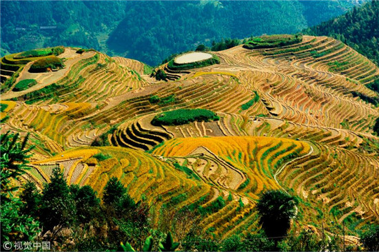 廣西龍勝龍脊梯田 廣西龍勝龍脊梯田