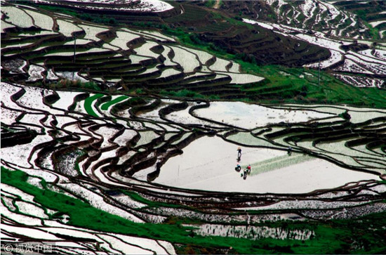 福建尤溪聯(lián)合梯田 福建尤溪聯(lián)合梯田