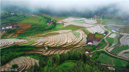 江西崇義上堡梯田 江西崇義上堡梯田