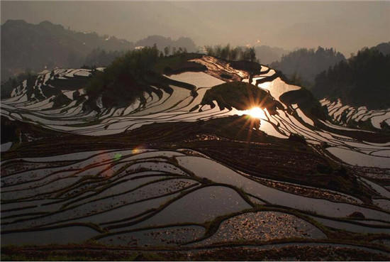 浙江云和梅源梯田 浙江云和梅源梯田