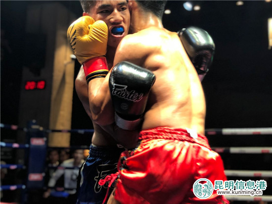 兩名拳手正在激烈對(duì)抗。記者馬文燾攝