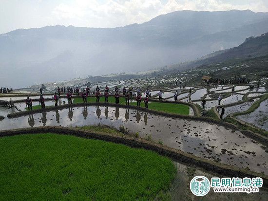 “開秧門”文藝展演現(xiàn)場。記者孫紅亮攝