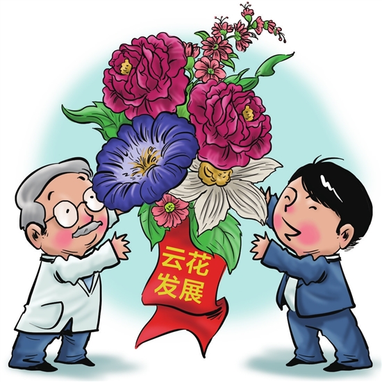 新模式激活云花新動能 新模式激活云花新動能