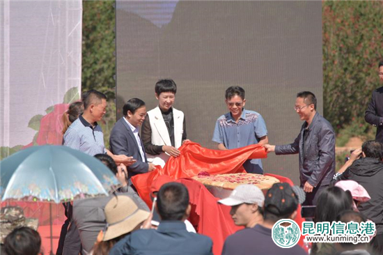 安寧八街9700畝玫瑰花熱情綻放 邀你去當(dāng)“采花大盜” 安寧八街9700畝玫瑰花熱情綻放 邀你去當(dāng)“采花大盜”