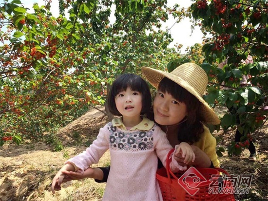 五一小長假到楚雄十八里山莊摘櫻桃品美食賞美景 五一小長假到楚雄十八里山莊摘櫻桃品美食賞美景