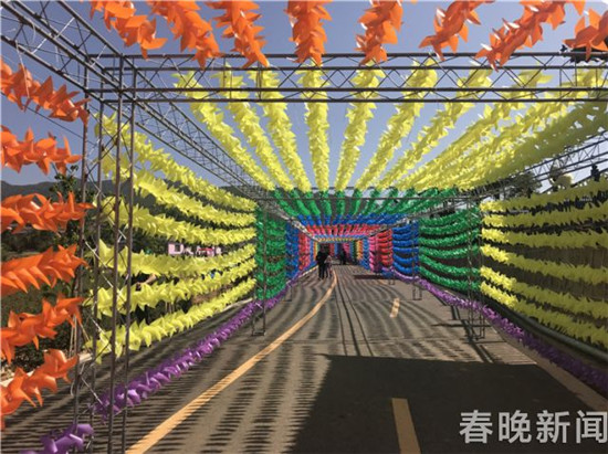 安寧八街芬芳之旅開啟 來吸一口玫瑰的芳香吧 安寧八街芬芳之旅開啟 來吸一口玫瑰的芳香吧