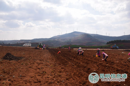 2017年六哨鄉(xiāng)春耕農事生產中機械化操作 2017年六哨鄉(xiāng)春耕農事生產中機械化操作