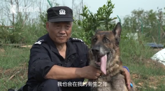 警犬養(yǎng)老院 警犬養(yǎng)老院