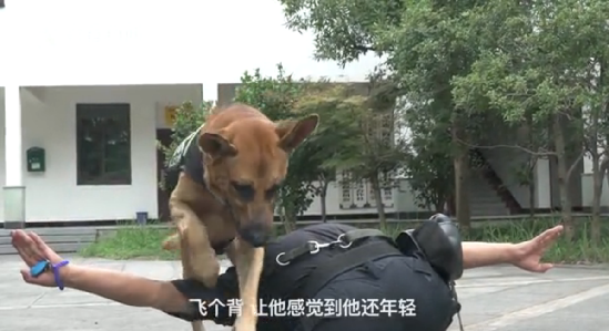 警犬養(yǎng)老院 警犬養(yǎng)老院