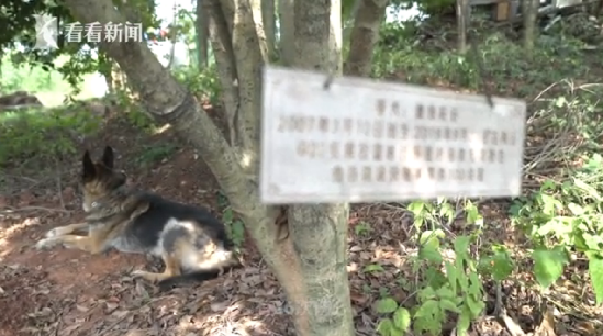 警犬養(yǎng)老院 警犬養(yǎng)老院