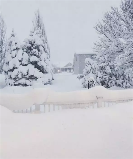 北美人民在暴風(fēng)雪里快扛不住了