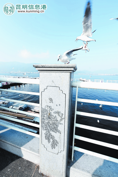 “高顏值”滇池大壩提升預(yù)計4月30日前完工 五一驚艷亮相