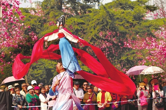 到昆明動(dòng)物園邊賞櫻花邊看木偶戲